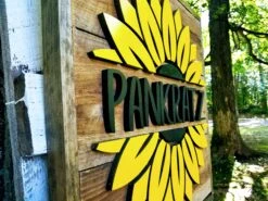 Sunflower Barn Board Sign | Handmade Custom Sign | Last Name Sign | Summer Home Decor 7 Sunflower Barn Board Sign | Handmade Custom Sign | Last Name Sign | Summer Home Decor -The Farmer’s Wife WI Deals Store 20190704 093314