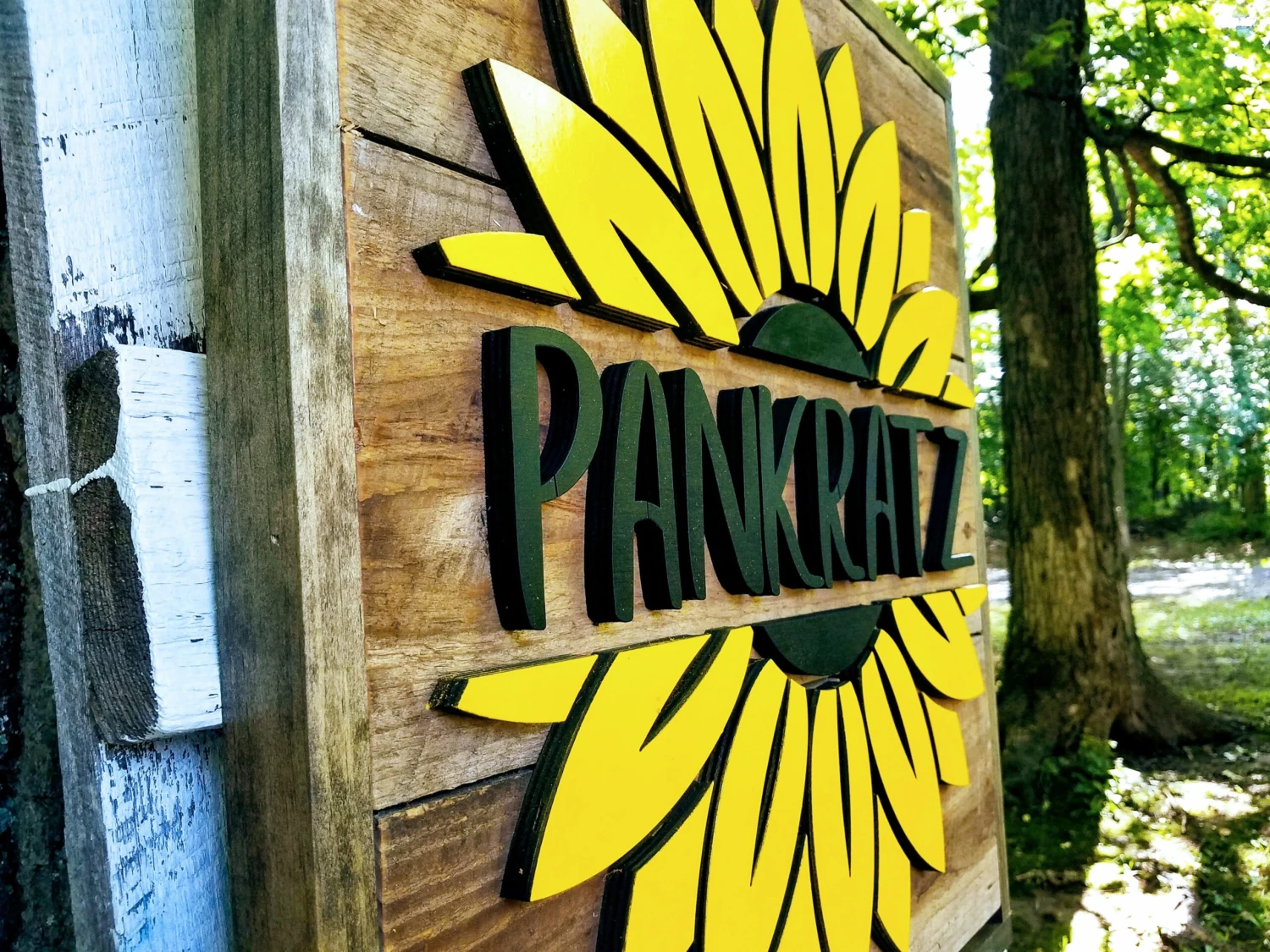 Sunflower Barn Board Sign | Handmade Custom Sign | Last Name Sign | Summer Home Decor 3 Sunflower Barn Board Sign | Handmade Custom Sign | Last Name Sign | Summer Home Decor - Image 3