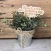 Thanks For Helping Me Grow Plant Stick | Teacher Gifts Thank You | Teacher Appreciation Gift