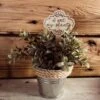 Funny Plant Stake | House Plant Stick | I Wet My Plants