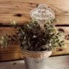Funny Plant Stake | House Plant Stick | High Maintenance