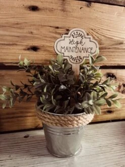 Funny Plant Stake | House Plant Stick | Rooting For You -The Farmer’s Wife WI Deals Store 379361233 606853261401854 7997521127255780623 n 9543b142 a11f 47ae 82e3 a9c5ae1cf4bf