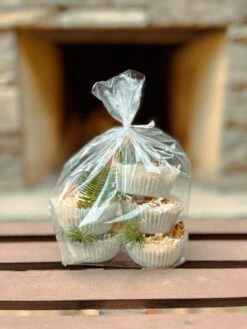 Fire Starters | Evergreen And Cinnamon Fire Starters | Outdoor Fire Starters | Fire Pit Fire Starters | Natural Fire Starters | Sawdust Fire Starters 10 Fire Starters | Evergreen And Cinnamon Fire Starters | Outdoor Fire Starters | Fire Pit Fire Starters | Natural Fire Starters | Sawdust Fire Starters -The Farmer’s Wife WI Deals Store 379631836 319756637203626 976498281952905848 n