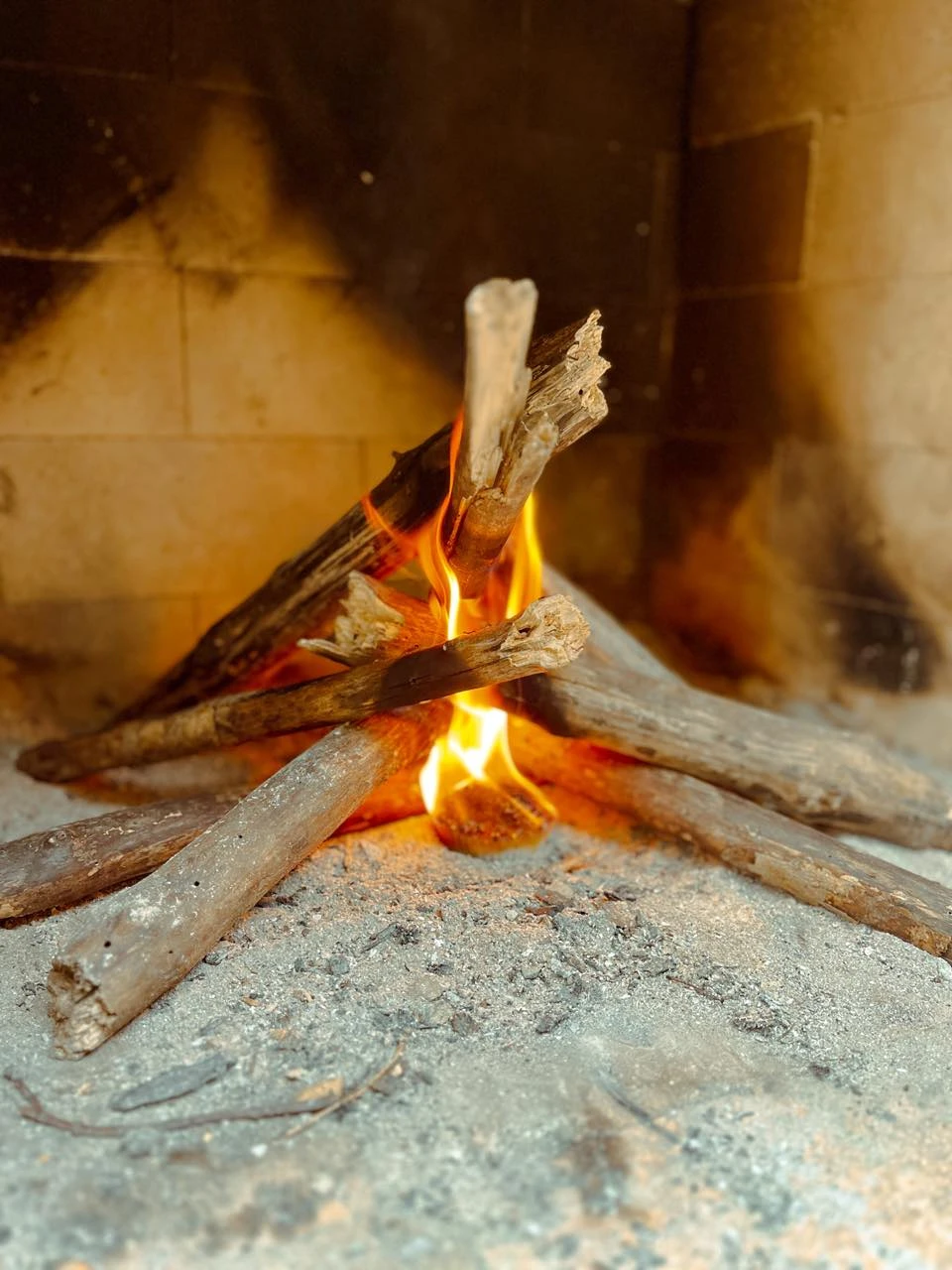 Fire Starters | Evergreen And Cinnamon Fire Starters | Outdoor Fire Starters | Fire Pit Fire Starters | Natural Fire Starters | Sawdust Fire Starters 4 Fire Starters | Evergreen And Cinnamon Fire Starters | Outdoor Fire Starters | Fire Pit Fire Starters | Natural Fire Starters | Sawdust Fire Starters - Image 4