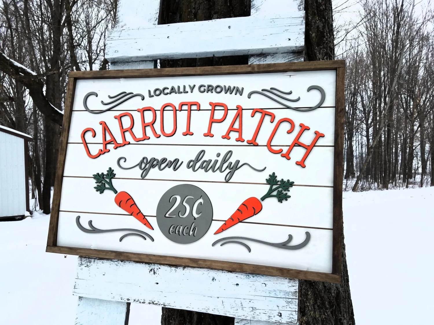 Spring Carrot Patch Farmhouse Sign | Easter Sign With Raised Lettering And Shiplap 3 Spring Carrot Patch Farmhouse Sign | Easter Sign With Raised Lettering And Shiplap - Image 3