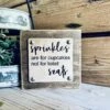 Funny Bathroom Sign For Kids | Sprinkles Are For Cupcakes Not Toilet Seats | Farmhouse Bathroom Decor | Small Wooden Bathroom Shelf Sign