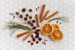 That Cabin Life Stovetop Simmer | Stovetop Potpourri | Holiday Gift 5 That Cabin Life Stovetop Simmer | Stovetop Potpourri | Holiday Gift -The Farmer’s Wife WI Deals Store ThatCabinLife3