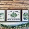 Farm To Table Herb Kitchen Sign Set – Framed Botanical Wall Art – Fresh Picked Herbs, Parsley Sage Mint Basil Thyme – Rustic Farmhouse Kitchen Decor