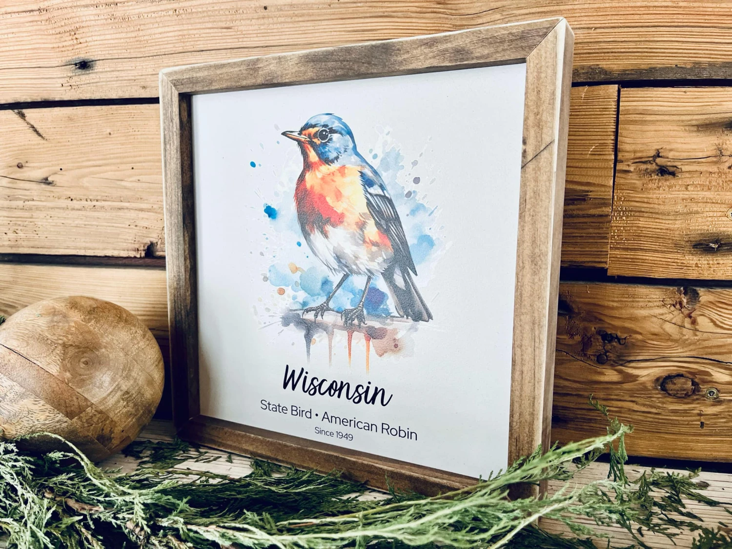 Wisconsin State Bird Sign - Watercolor American Robin Print - Wood Framed Wall Art - Home Decor Gift 2 Wisconsin State Bird Sign - Watercolor American Robin Print - Wood Framed Wall Art - Home Decor Gift - Image 2