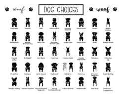 Personalized Dog Leash Holder For Wall | Custom Dog Leash Hanger | Wall Mounted Dog Leash Holder 9 Personalized Dog Leash Holder For Wall | Custom Dog Leash Hanger | Wall Mounted Dog Leash Holder -The Farmer’s Wife WI Deals Store dog bundle 80 choice sheets watermark1024 1