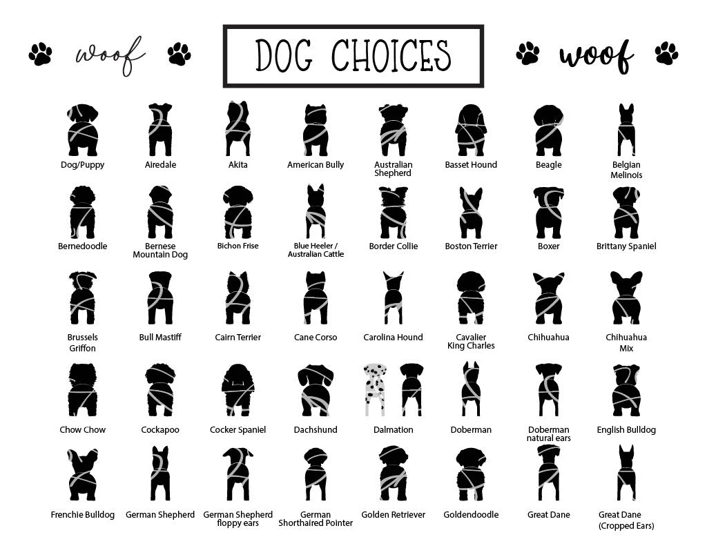 Personalized Dog Leash Holder For Wall | Custom Dog Leash Hanger | Wall Mounted Dog Leash Holder 4 Personalized Dog Leash Holder For Wall | Custom Dog Leash Hanger | Wall Mounted Dog Leash Holder - Image 4