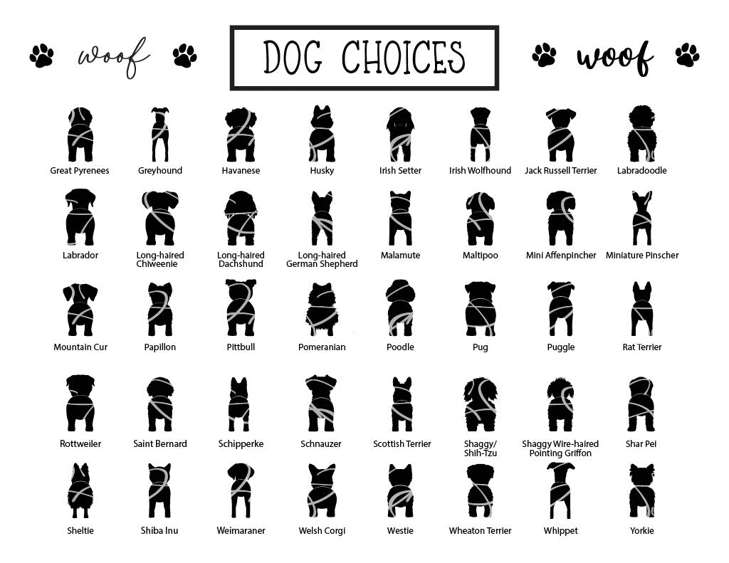 Personalized Dog Leash Holder For Wall | Custom Dog Leash Hanger | Wall Mounted Dog Leash Holder 5 Personalized Dog Leash Holder For Wall | Custom Dog Leash Hanger | Wall Mounted Dog Leash Holder - Image 5